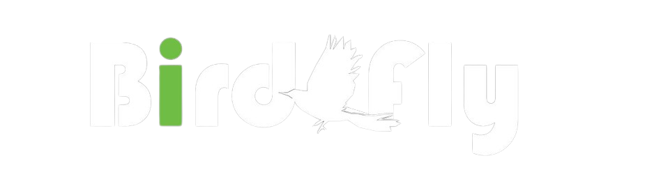 BirdzFly