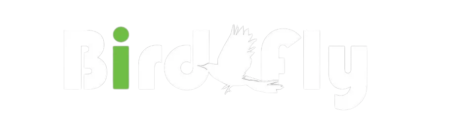 BirdzFly