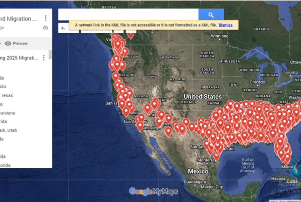 Hummingbird Migration Map USA 2025 MAP
